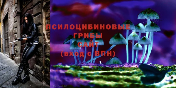 MESCALINE Лабытнанги