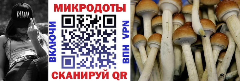 цены   Юрьевец  Галлюциногенные грибы мухоморы 